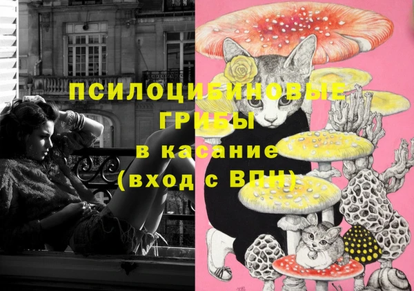 МДПВ Алексин