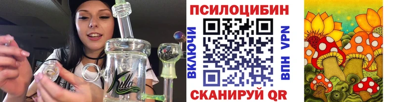 Галлюциногенные грибы Cubensis  сколько стоит  Анжеро-Судженск 